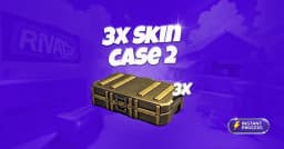 x3 Skin Case 2