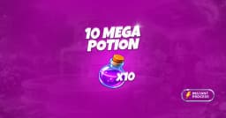 10 Mega Potion