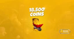 18500 Coins
