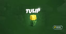 Tulip
