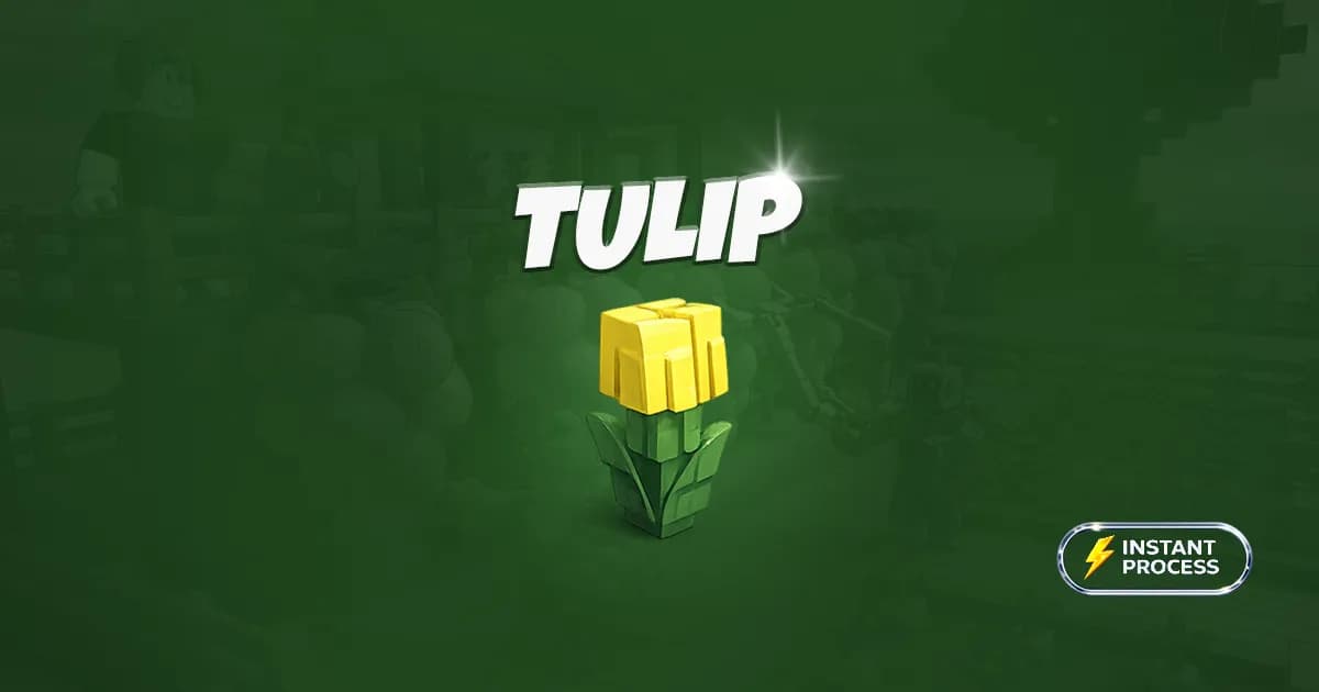 Tulip