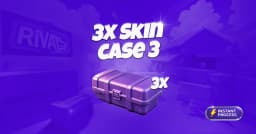 x3 Skin Case 3