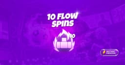 10 Flow Spins
