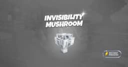 Invisibility Mushroom