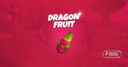 Dragon Fruit