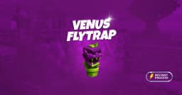 Venus Fly Trap