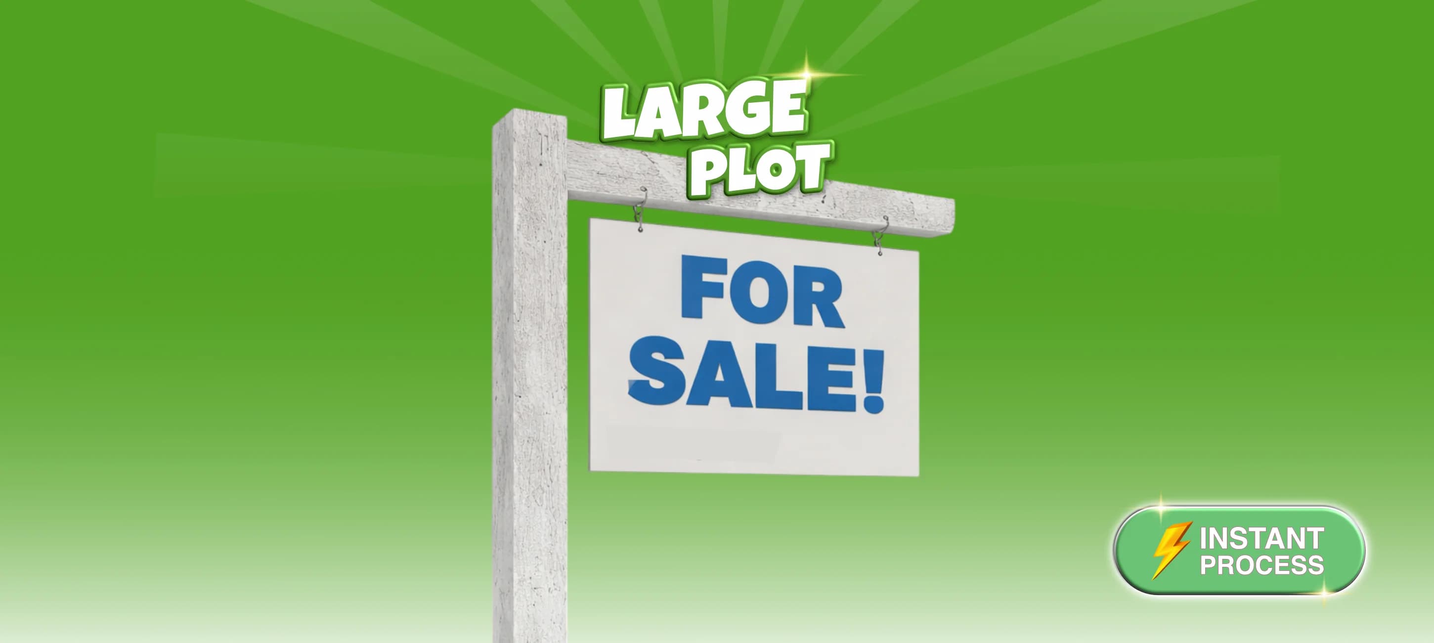Large Plot